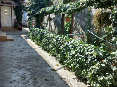  Casa batraneasca  cu teren de 435mp cu utilitati si deschidere 14 m- Coiciu 