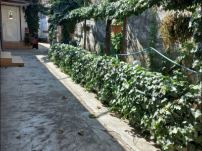 Teren de 435mp cu utilitati si deschidere 14 m- Coiciu / constructie demolabil